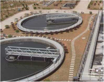 ZBXN型週邊傳動半橋虹吸(xi)式吸泥機(jī)